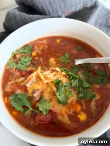 Slow Cooker Recipes