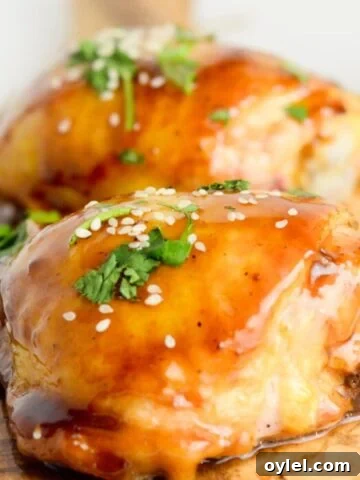 Hoisin Glazed Chicken
