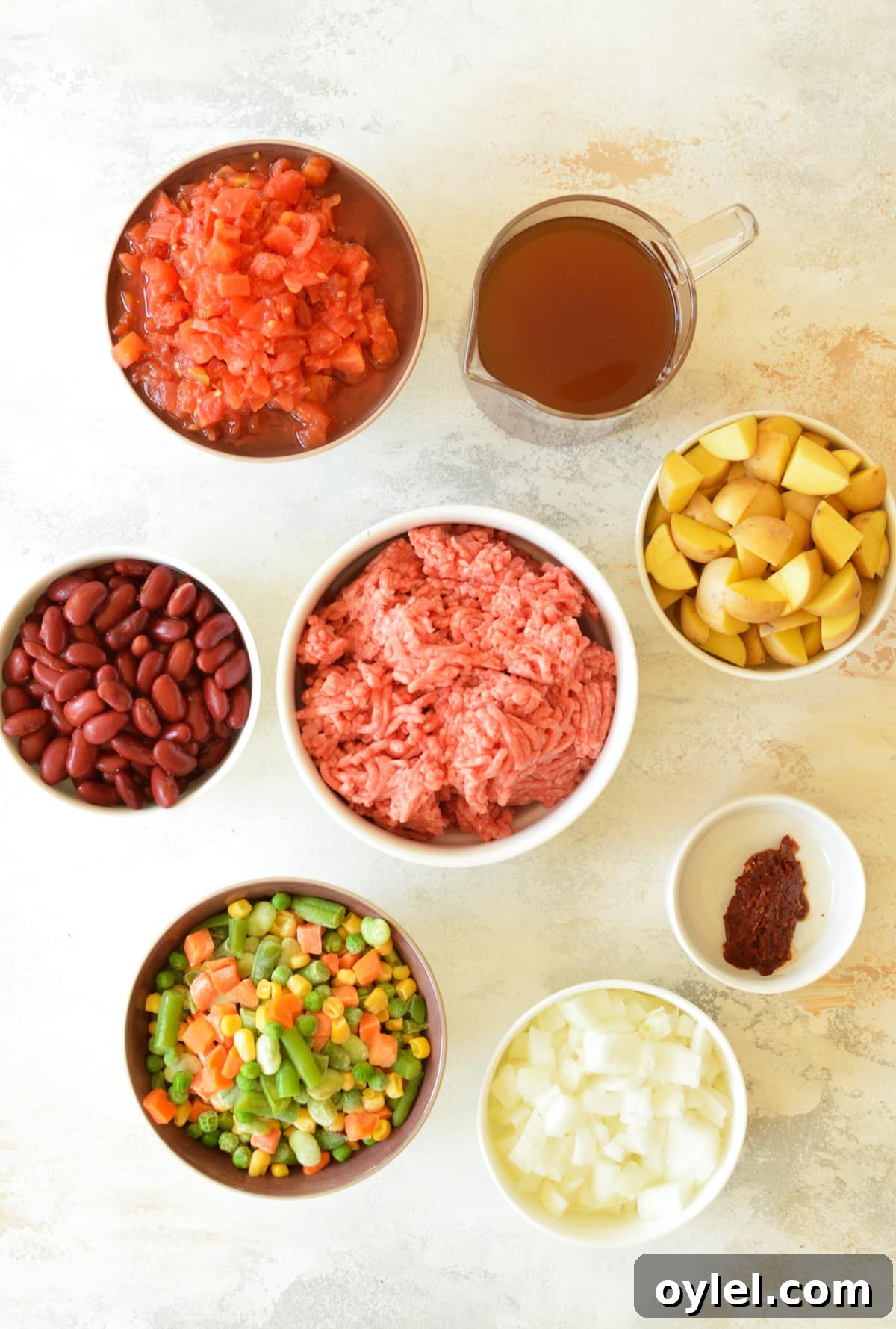 ground beef, potatoes, beef broth, tomatoes, beans, veggies, spices