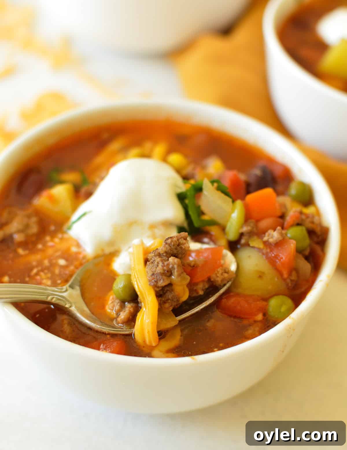 a spoonful of soup over a bowl of vegetable beef soup