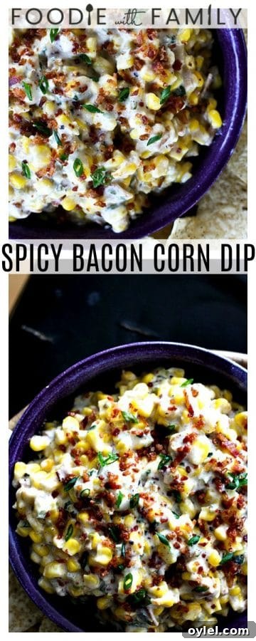 Slow Cooker Spicy Bacon and Corn Dip Recipe 3 Spicy Bacon Corn Dip ready to serve