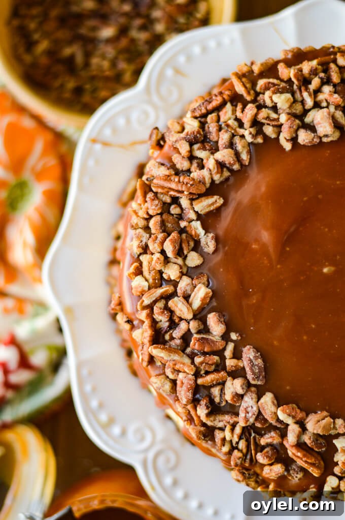 A top down view of a layered pumpkin cake with caramel sauce topping the cake and pecans are edged around the outer part of the cake.