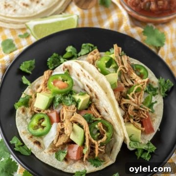 Shredded chicken tacos on black plate