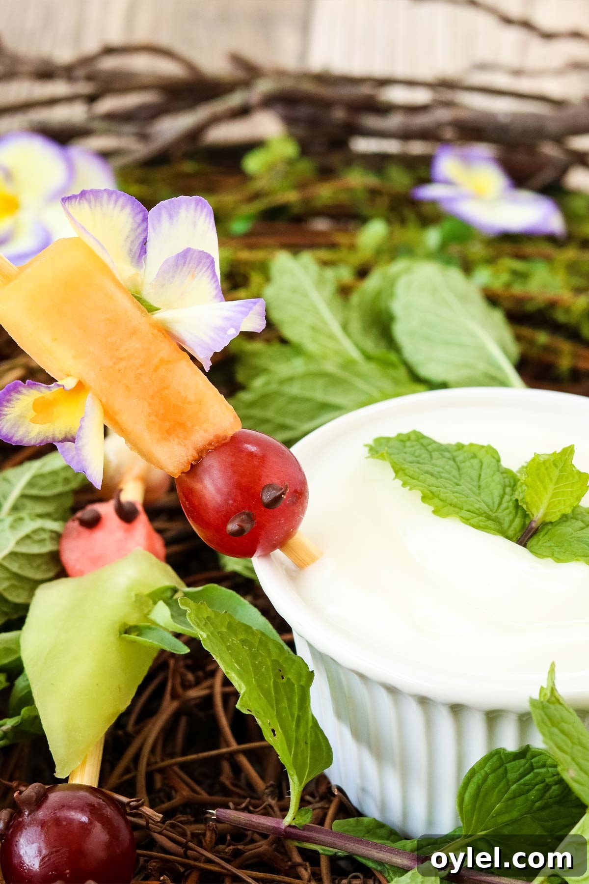 Finished flying buggy fruit kabob for kids.
