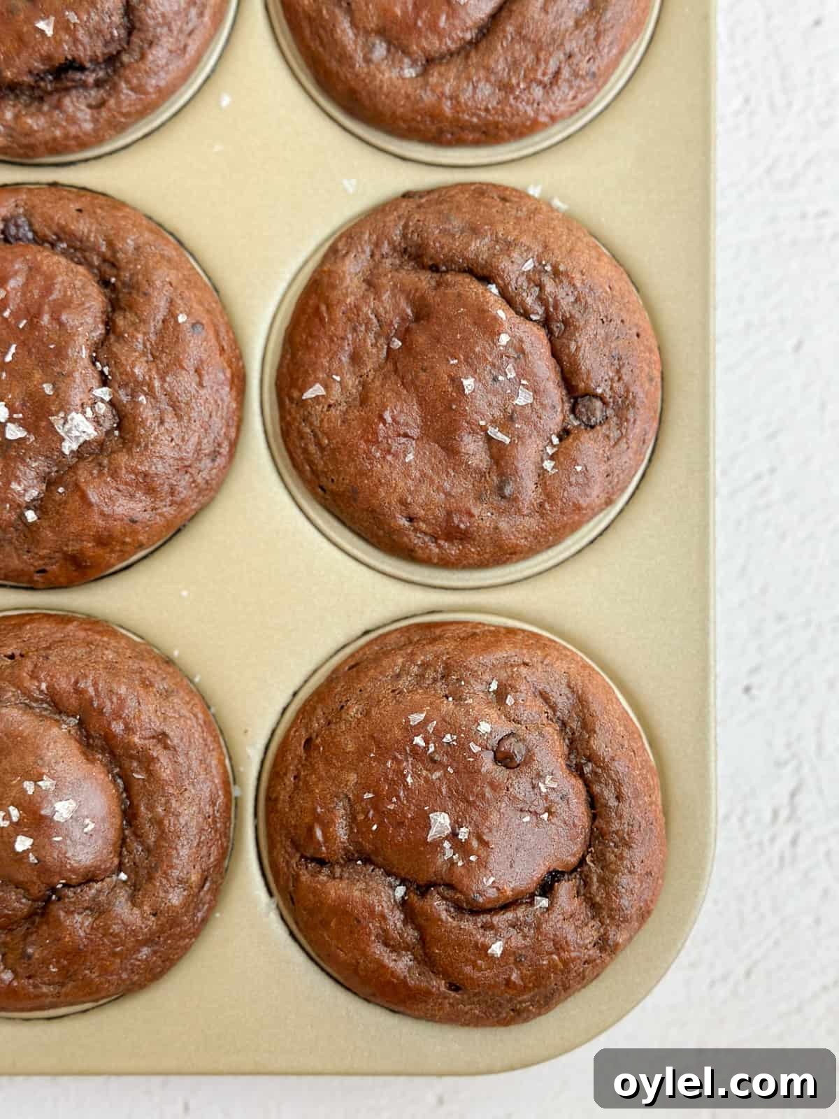 a few chocolate protein muffins in a baking tin.