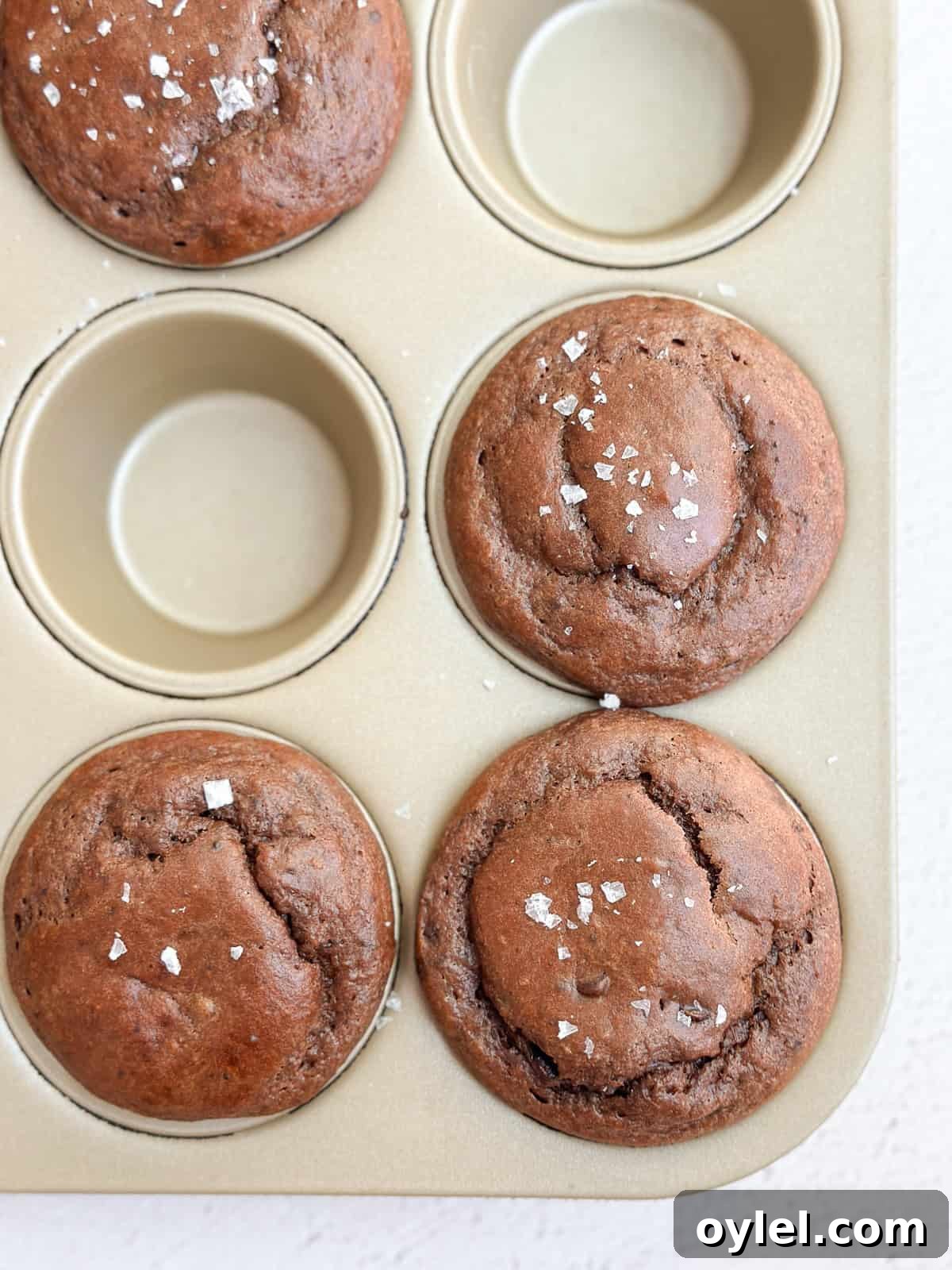 a close up of the chocolate protein muffins right after baking.