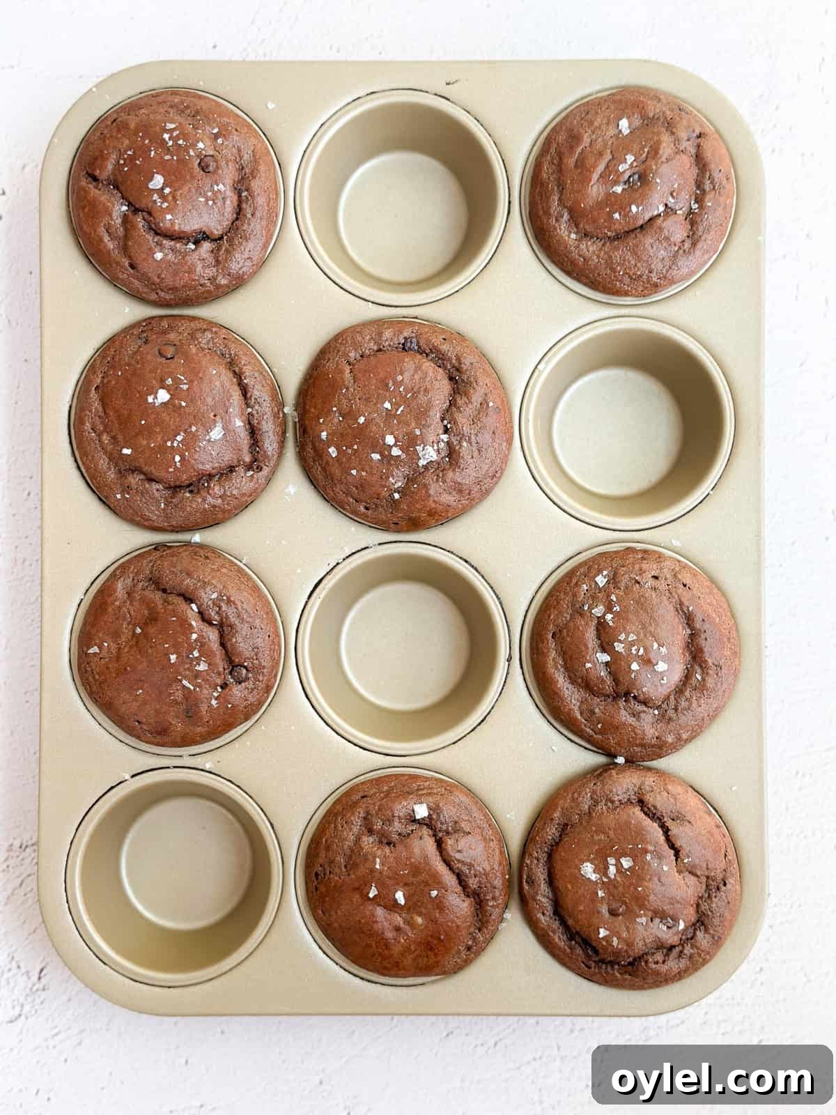 all of the chocolate protein muffins in a muffin tin right after baking.