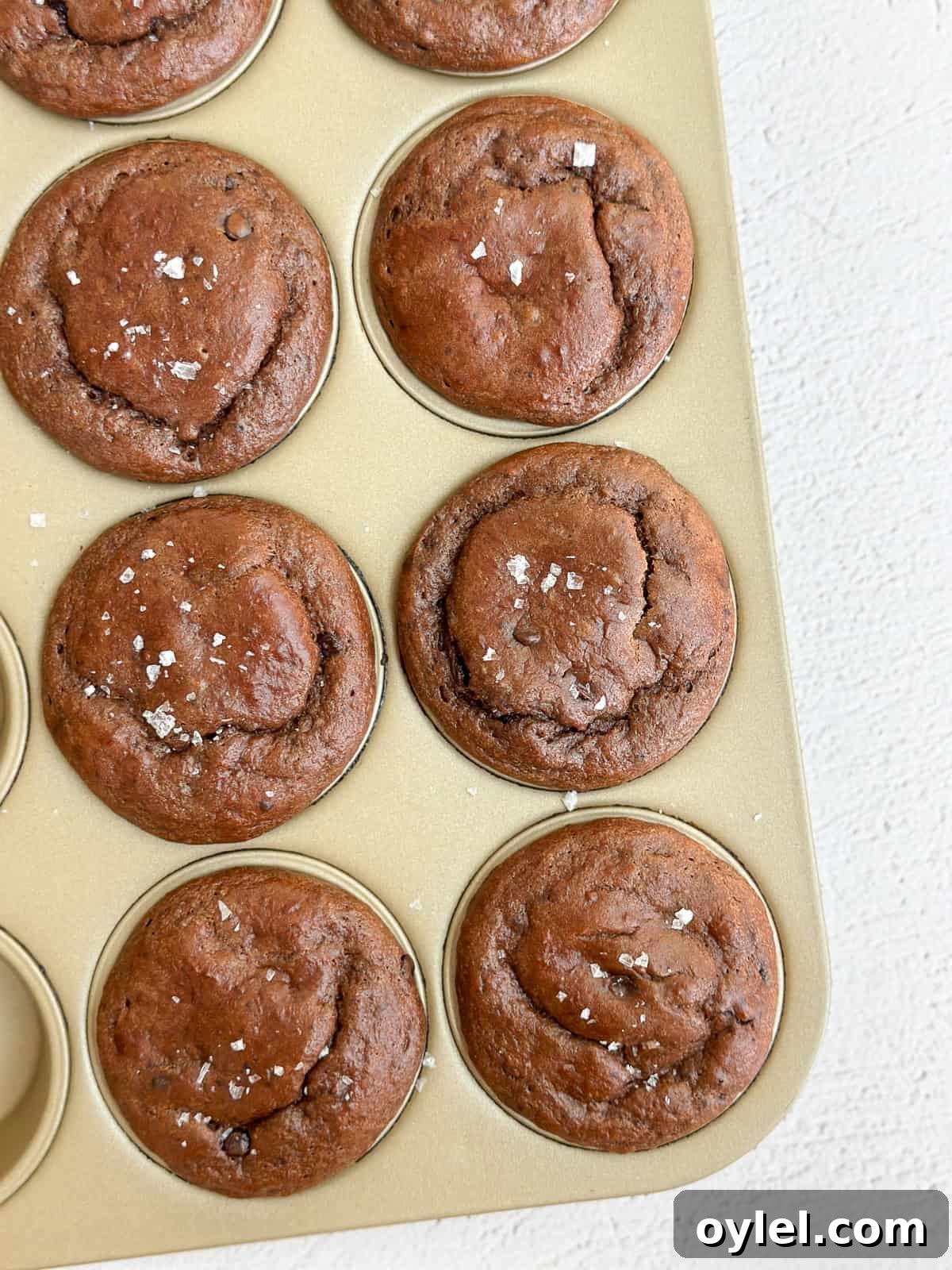 a few chocolate protein muffins.