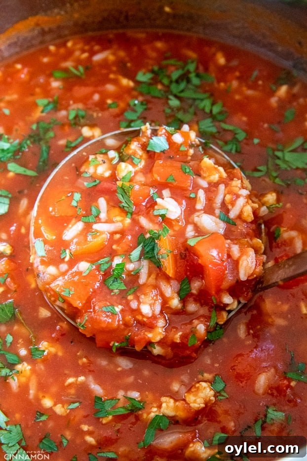 a ladle inserted in a pot with healthy stuffed bell pepper soup 
