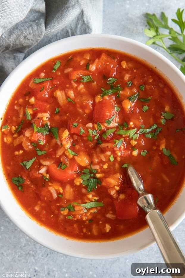 overhead shot of a bowl of paleo stuffed bell pepper soup with a spoon