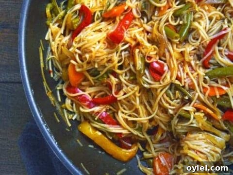 Stir fried vegetable noodles