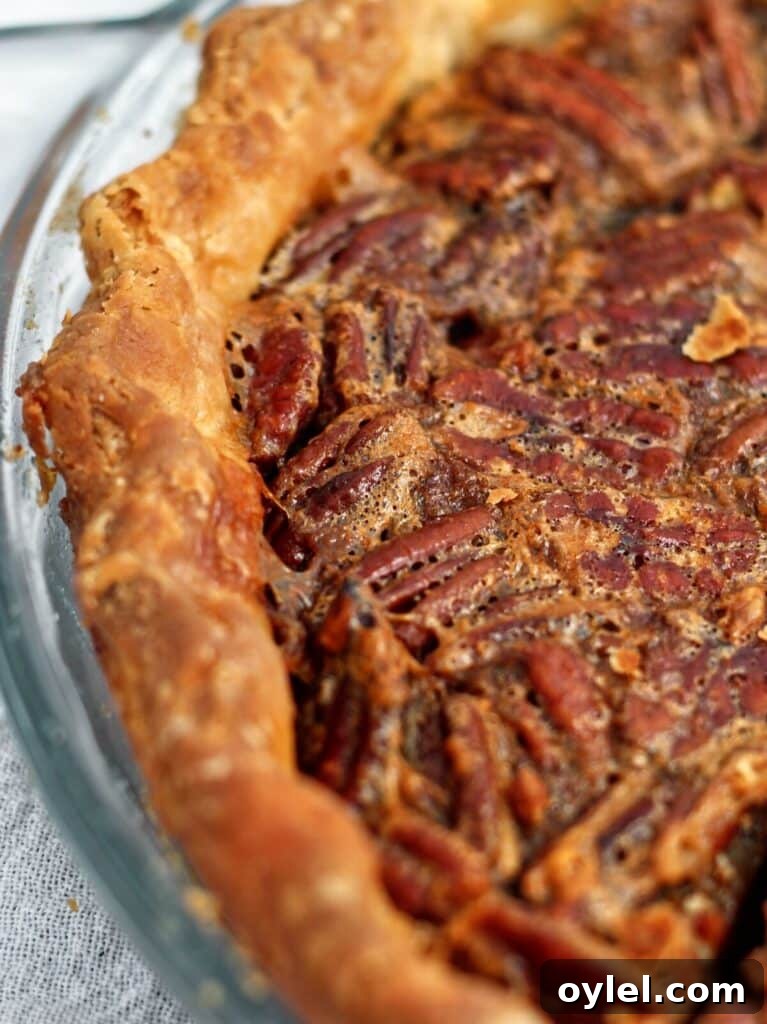 close up shot of one side of whole chocolate pecan pie in glass pie plate.