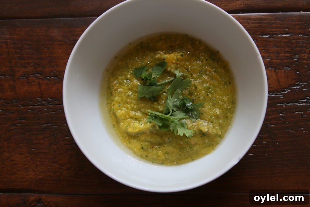 Green gazpacho in a bowl with cilantro garnish