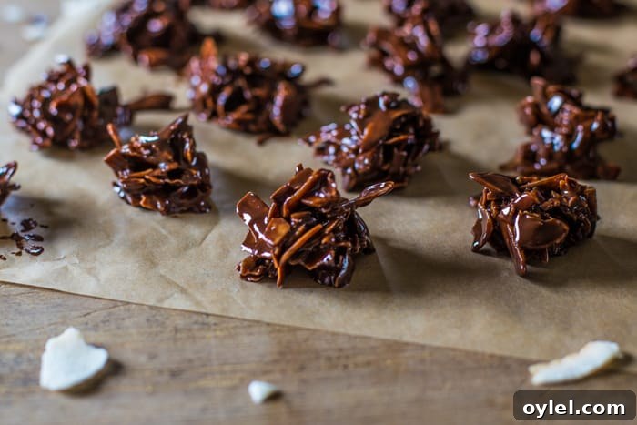 No-Bake Coconut Chocolate Bites Recipe 2 Coconut Chocolate Bites