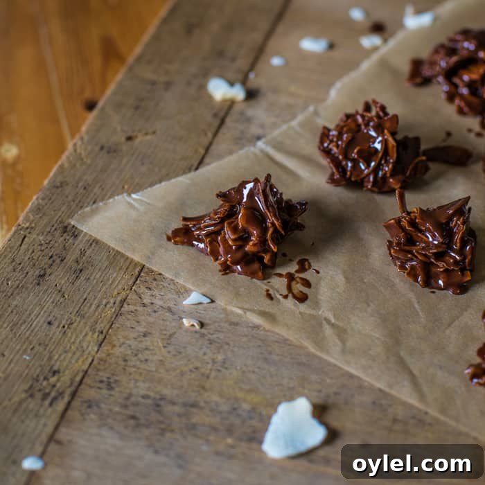 No-Bake Coconut Chocolate Bites Recipe 3 Coconut Chocolate Bites