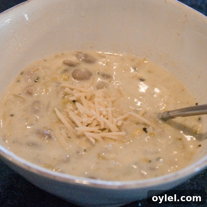 Creamy White Chicken Chili with White Beans and Green Chiles 2 The creamy white chicken chili recipe is filled with shredded chicken, white beans, and tons of flavors for a hearty soup supper.