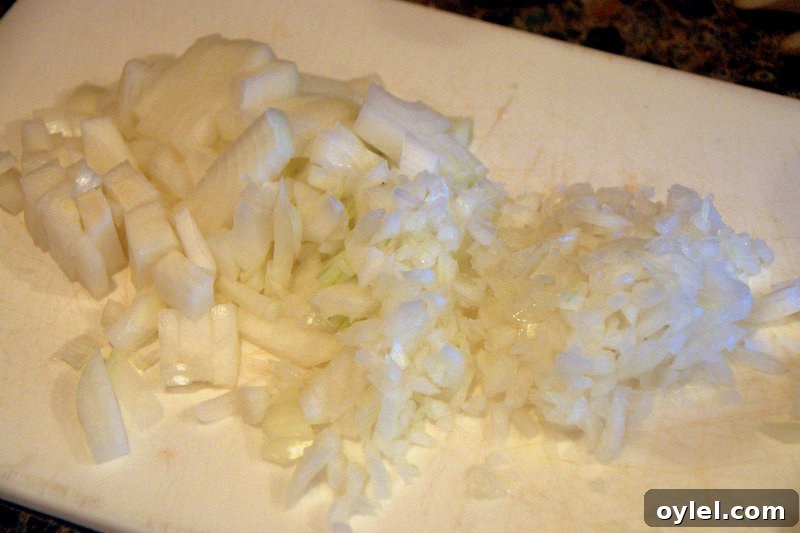 diced onions diced onions