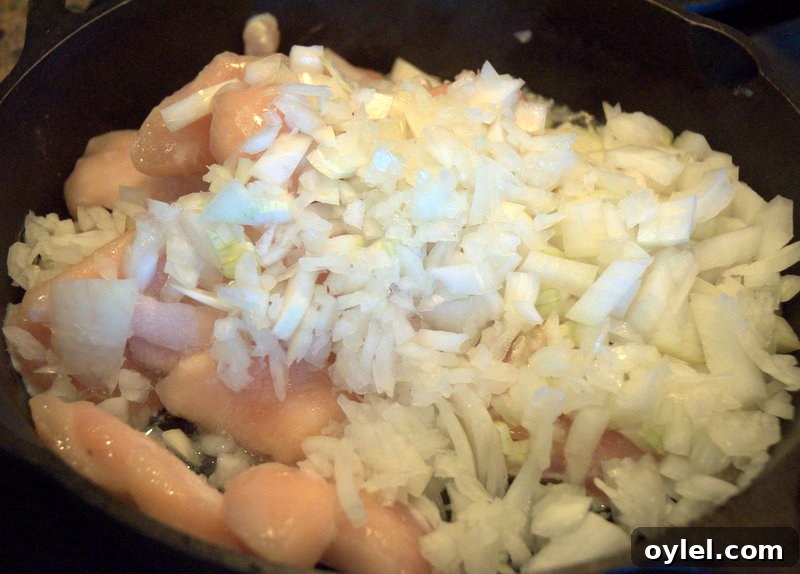 chicken and onions cooking chicken and onions cooking