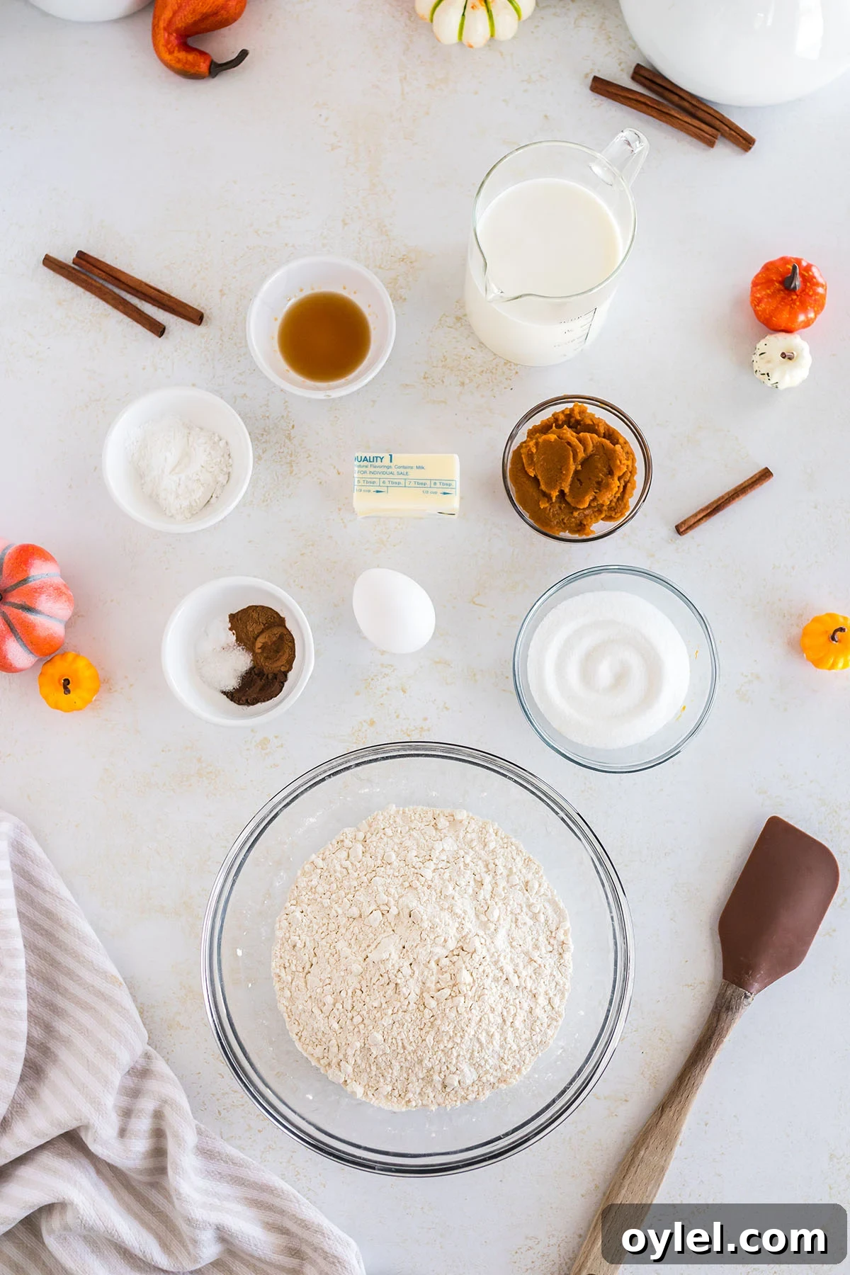 Ingredients to make pumpkin pancakes set out on the counter.