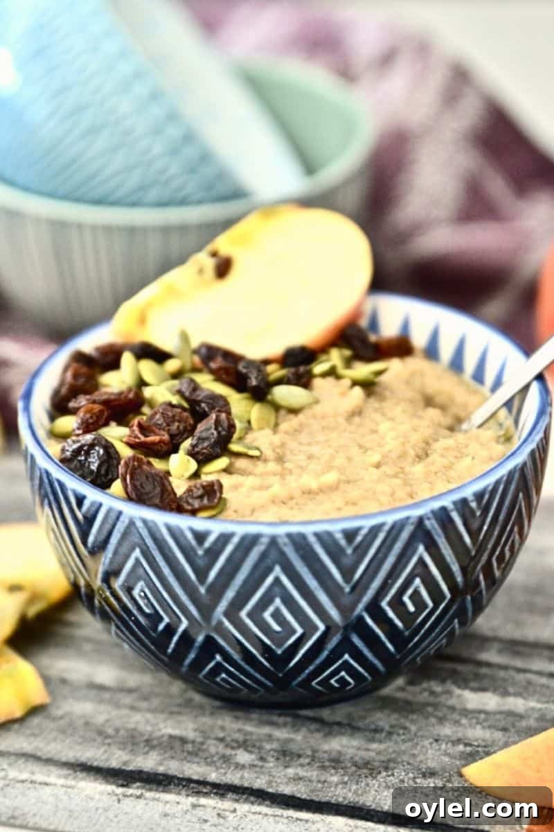Paleo Caramel Apple Oatmeal Recipe 2 A bowl of oatmeal topped with raisins, pumpkin seeds and a slice of apple.
