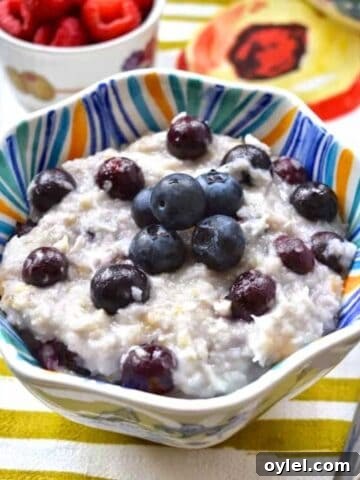A bowl of oatmeal topped with fresh blueberries.