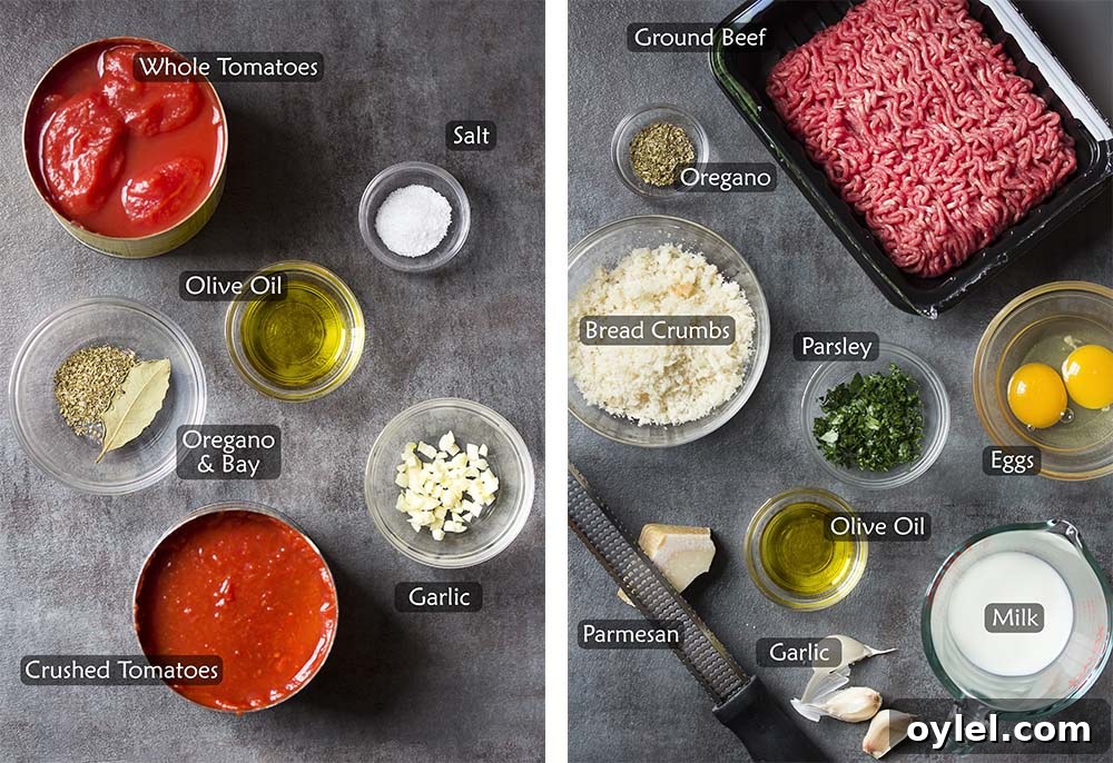 Ingredients for classic homemade meatballs. Ingredients for the recipe.
