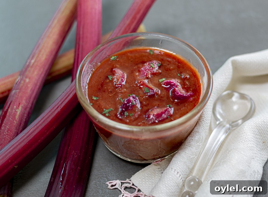20 Spring Recipes to Brighten Your Table 14 Really Amazing Rhubarb BBQ Sauce