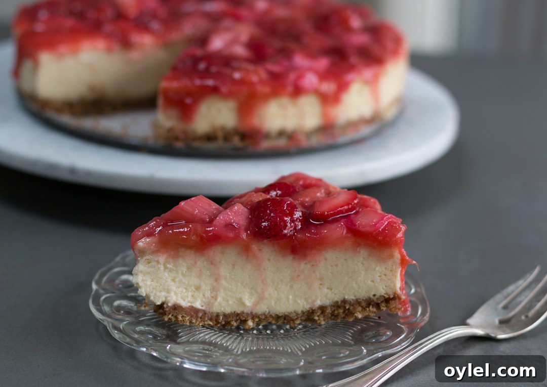20 Spring Recipes to Brighten Your Table 18 Strawberry Rhubarb Cottage Cheese Cheesecake with an Oat & Almond Press In Crust – Gluten Free