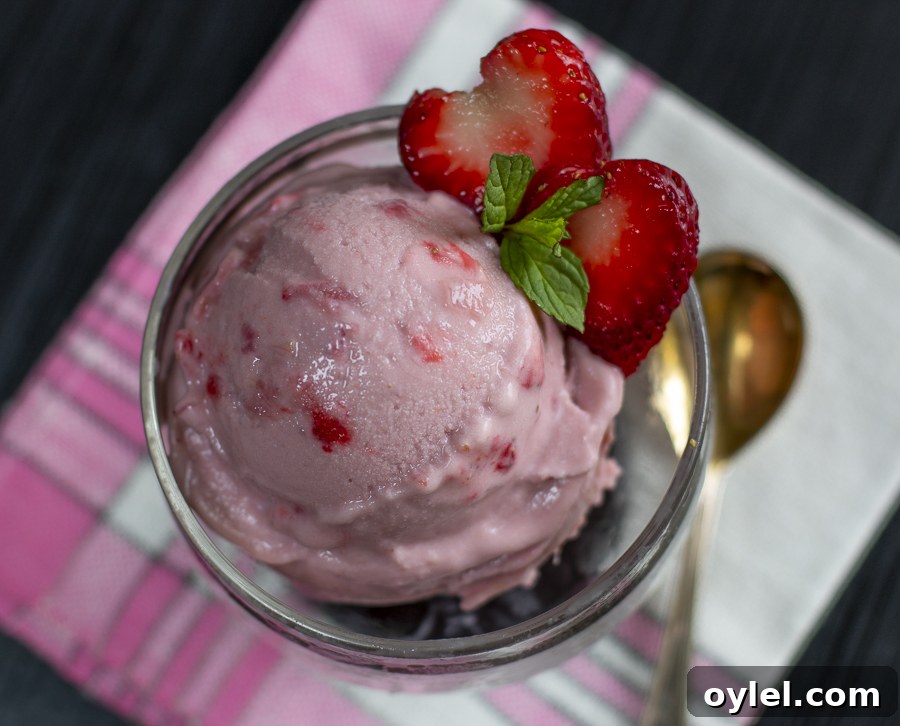 20 Spring Recipes to Brighten Your Table 19 Scooped Vegan Strawberry Rhubarb “Ice Cream”