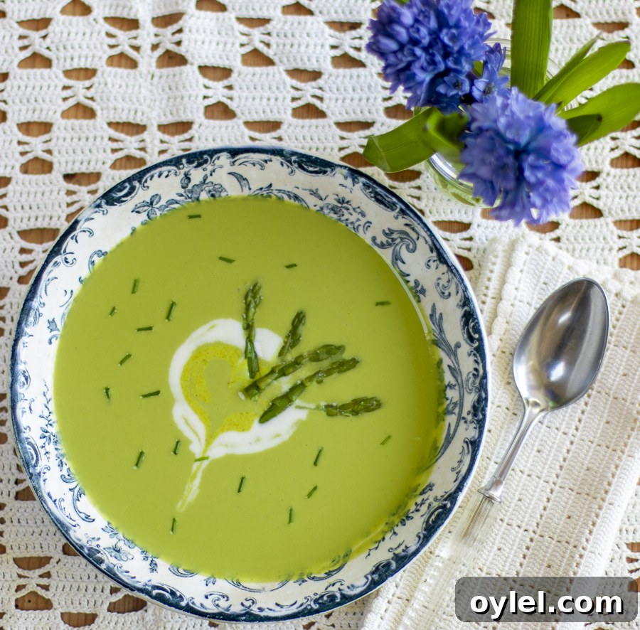 20 Spring Recipes to Brighten Your Table 3 Spring Asparagus Soup – Vegan – with Cashew Crema Swirl in a vintage blue & white bowl