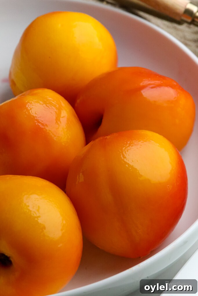 Brown Sugar Peach Glazed Salmon Recipe 13 Fresh Peaches on white plate