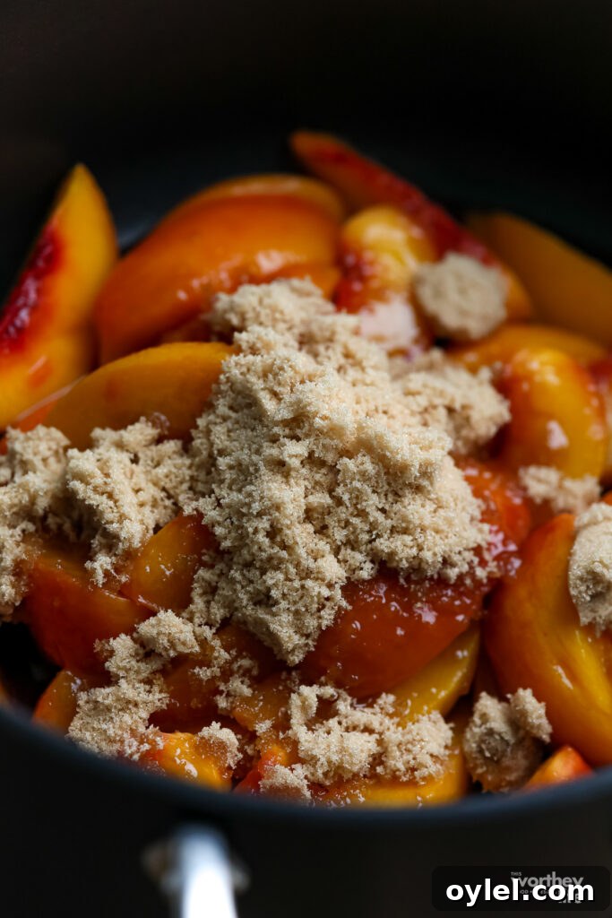 Brown Sugar Peach Glazed Salmon Recipe 9 how to cook brown sugar salmon with peaches