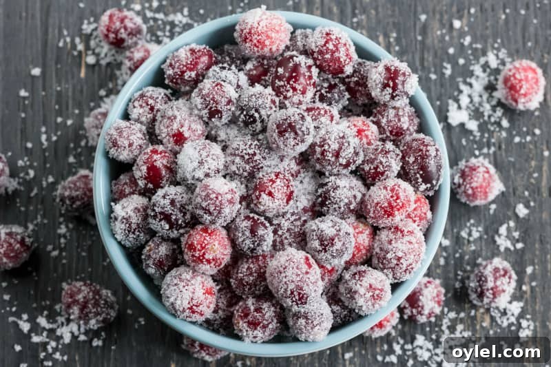 Best Sugared Cranberries