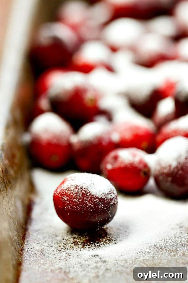 Sugared Cranberries with superfine sugar
