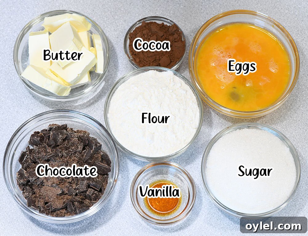 A top-down view of key ingredients for making brownies, including butter, cocoa powder, eggs, flour, chopped chocolate, sugar, and vanilla extract, each labeled in a clear and organized manner.
