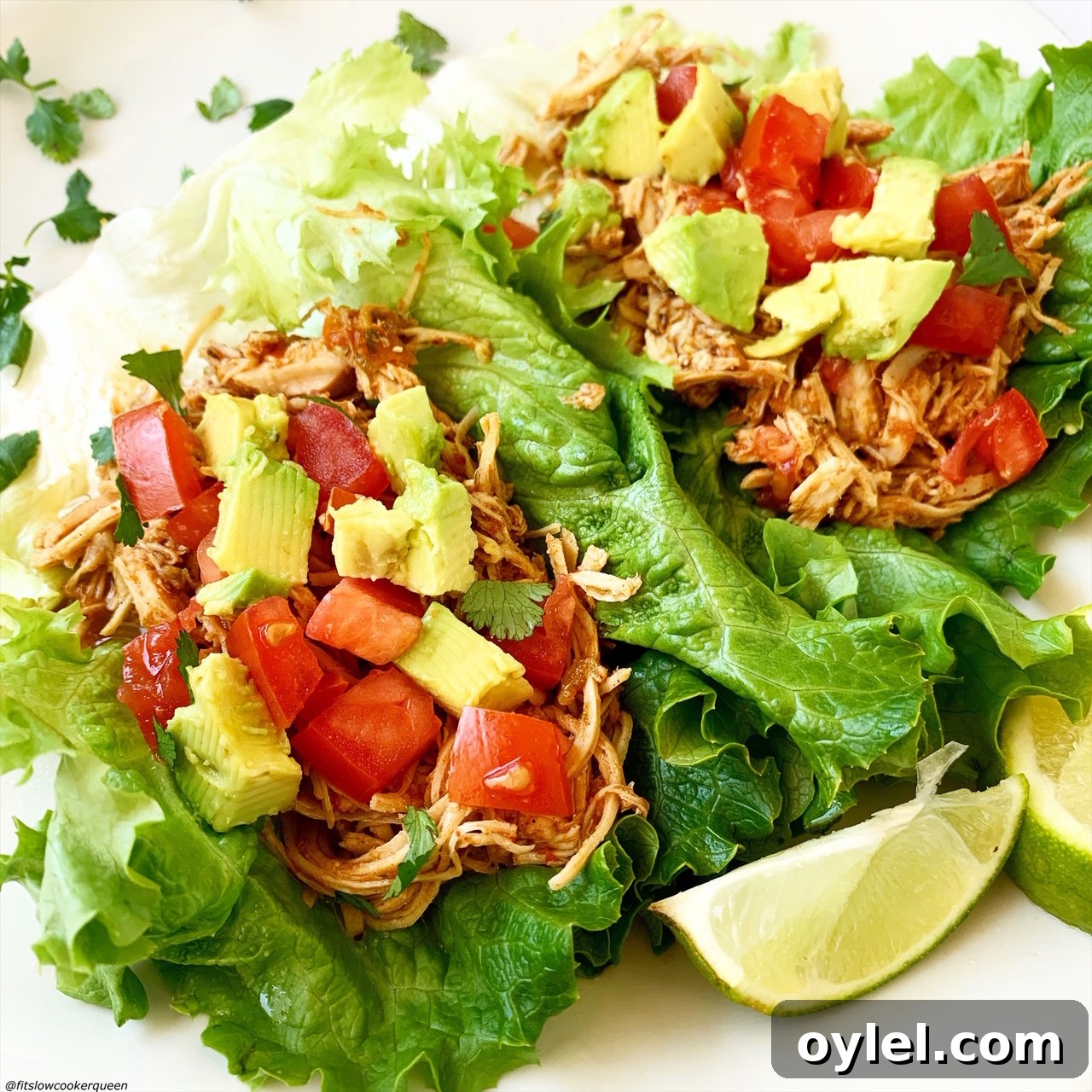 chicken tacos in a lettuce wrap topped with tomatoes, avocado, and lettuce