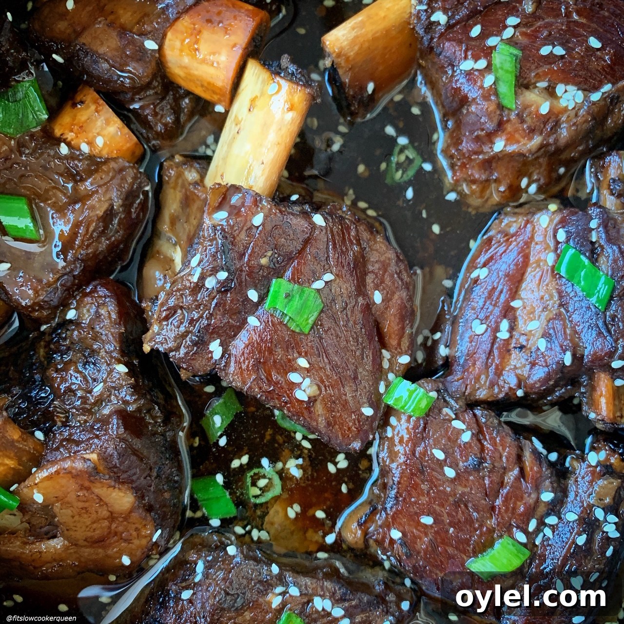 super close up shot of korean style short ribs with sesame seeds and sliced green onions on top