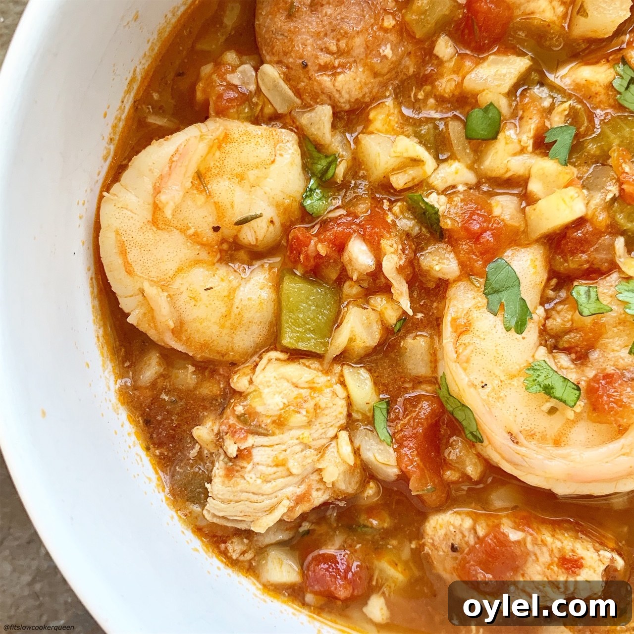 Slow CookerInstant Pot Jambalaya (Low-Carb, Paleo, Whole30)