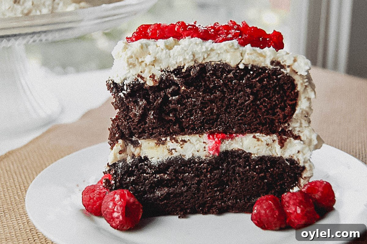A slice of chocolate cake on a plate with raspberries.