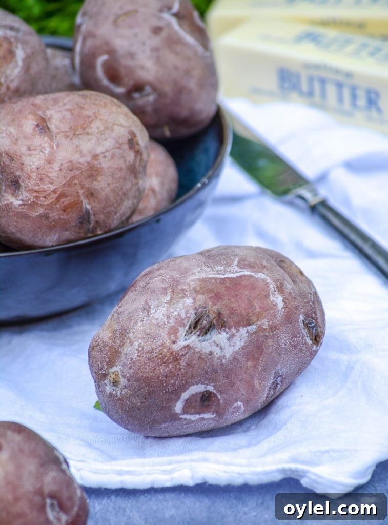 Classic Syracuse Salt Potatoes Recipe 2 Syracuse Style Salt Potatoes