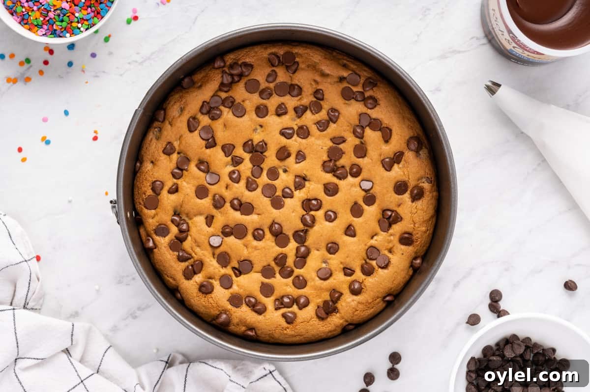 How to Make a Chocolate Chip Cookie Cake 23 chocolate chip cookie cake in a pan after baking