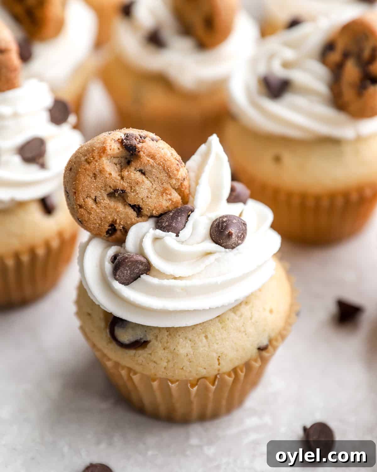 How to Make a Chocolate Chip Cookie Cake 25 Chocolate Chip Cupcakes