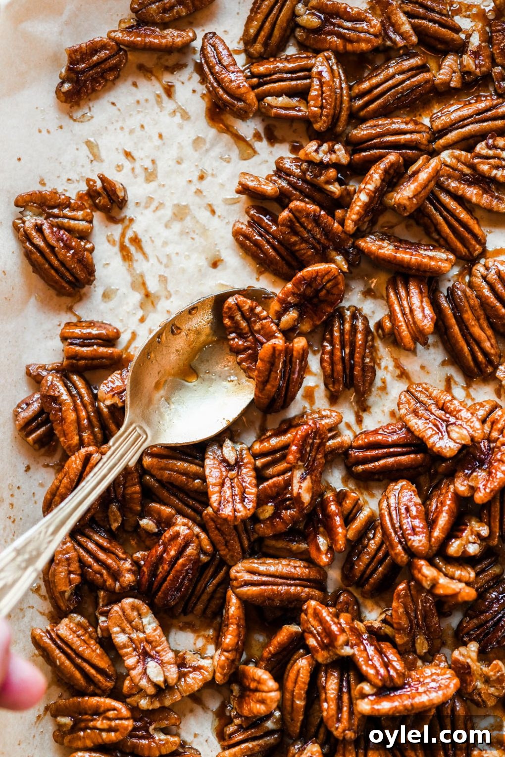 Maple Candied Pecans Recipe 5 Overhead view of a spoon scraping sticky candied pecans onto one side of a parchment lined baking sheet.