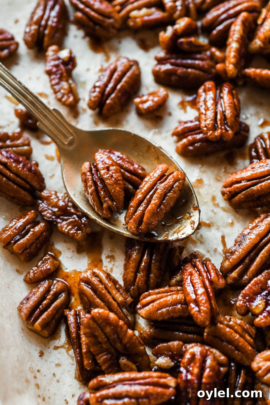 Maple Candied Pecans Recipe 6 Close up shot of a few candied pecans sitting on a gold spoon, on a parchment lined baking sheet surrounded by scattered candied pecans.