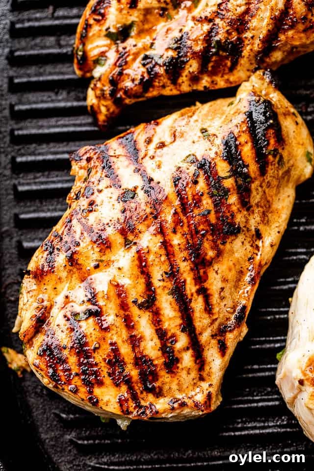 Cuban Mojo Grilled Chicken with Citrus Garlic Marinade 4 Chicken breast with grill marks set on a black grill pan