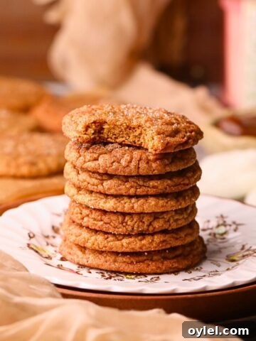 A stack of molasses apple butter snickerdoodles on a dessert plate.