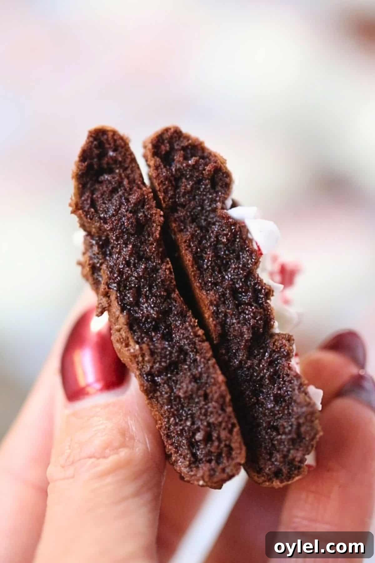 A hand holding a peppermint bark brownie cookie broken in half.