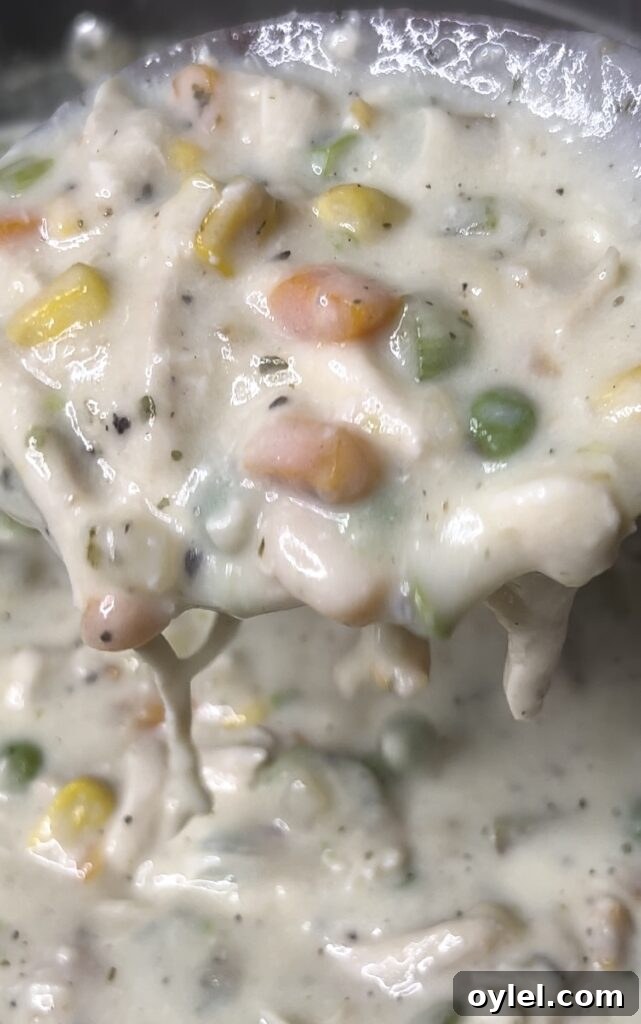 Classic Chicken Pot Pie with Flaky Puff Pastry 10 img 1888 10
