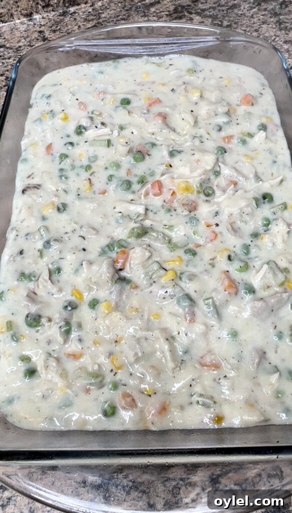 Classic Chicken Pot Pie with Flaky Puff Pastry 11 img 1888 11