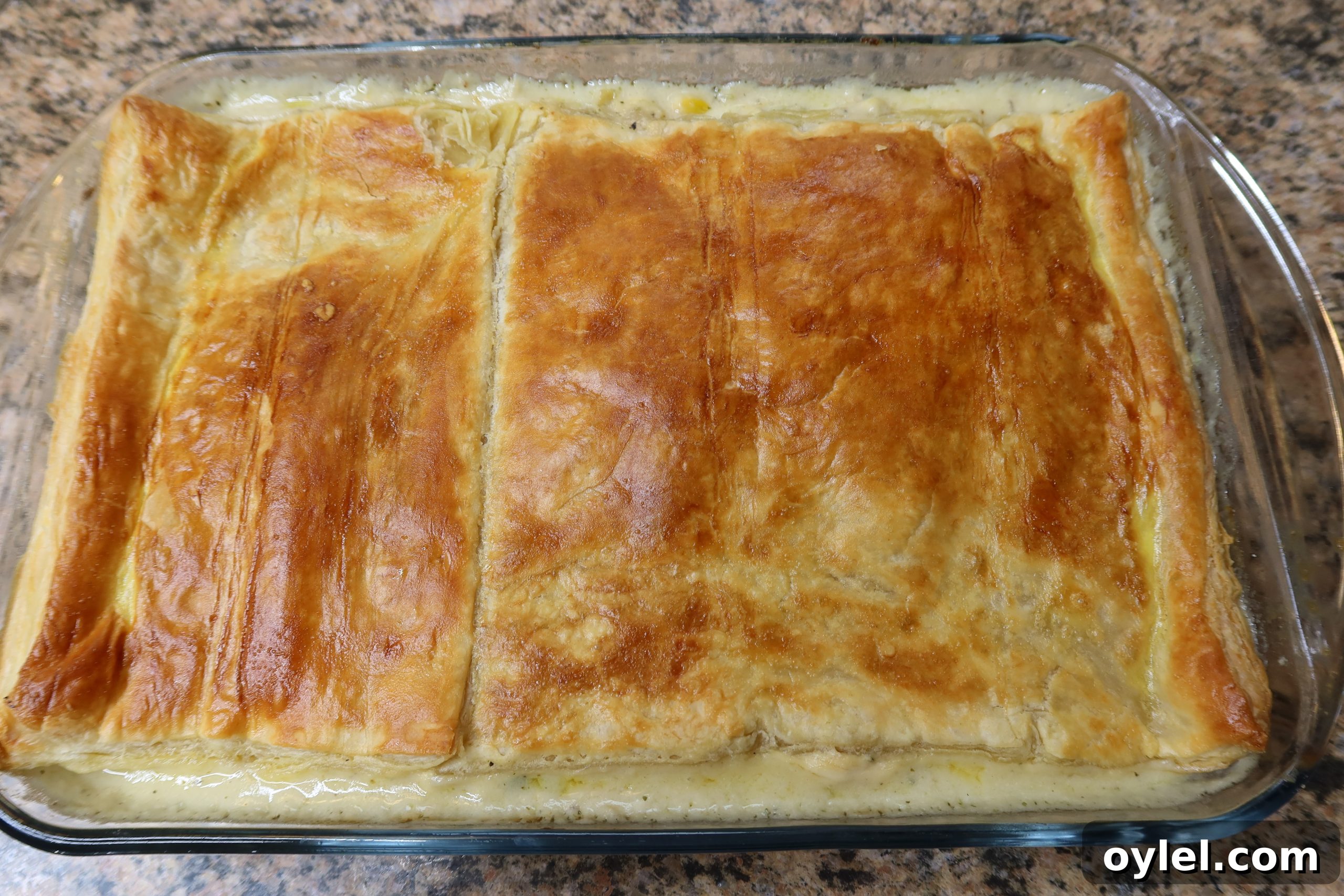 Classic Chicken Pot Pie with Flaky Puff Pastry 15 img 1888 15 scaled